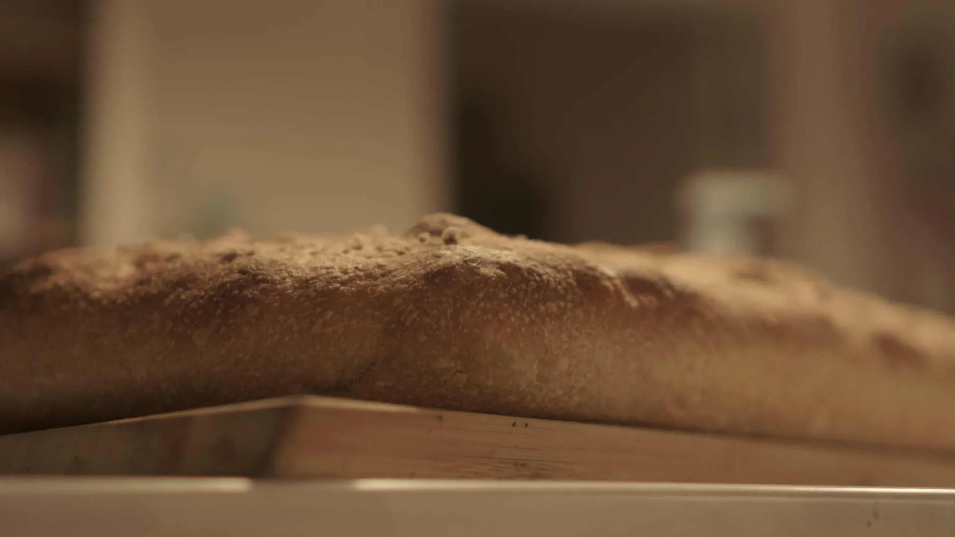 Amber Inc. import and export products